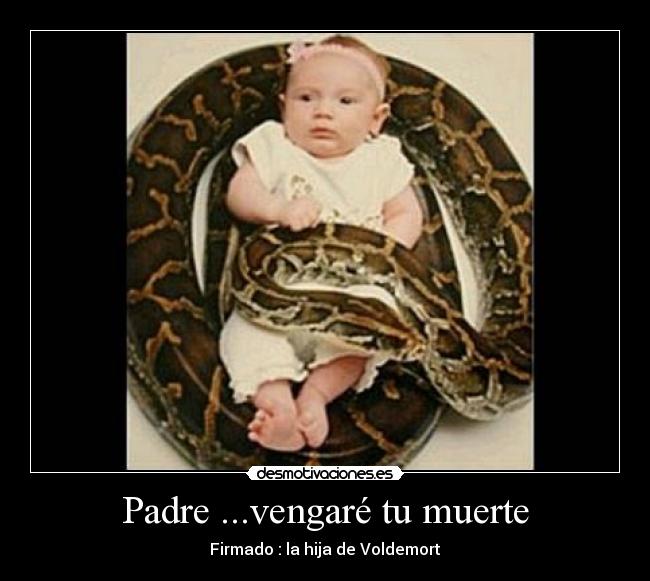 Padre ...vengaré tu muerte -