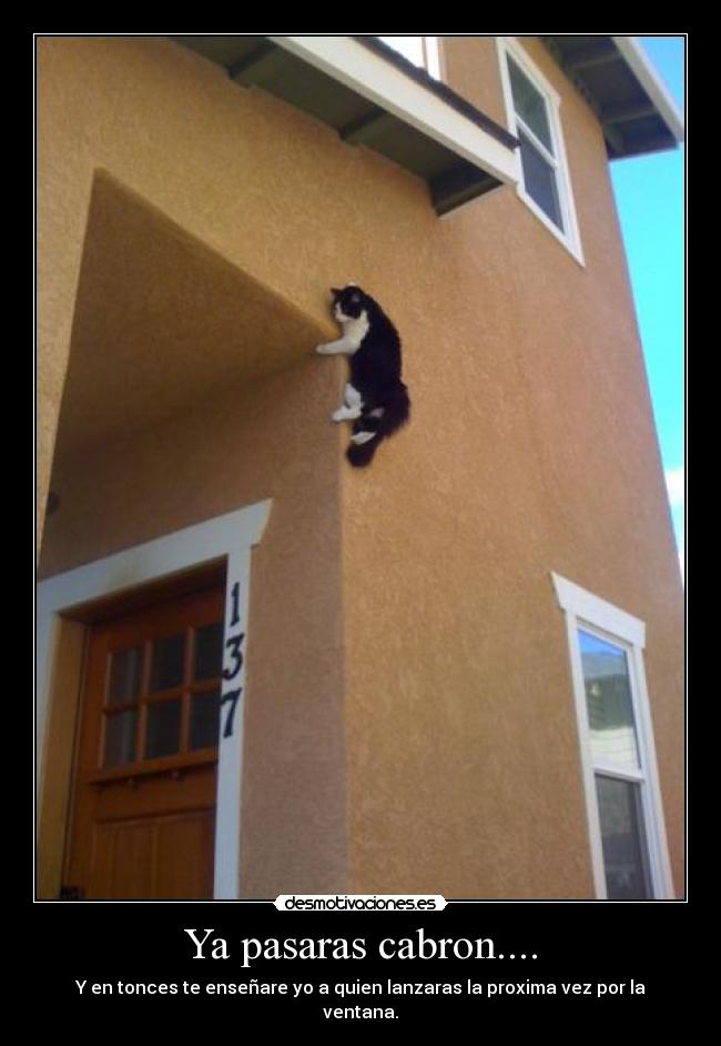 Ya pasaras cabron.... -