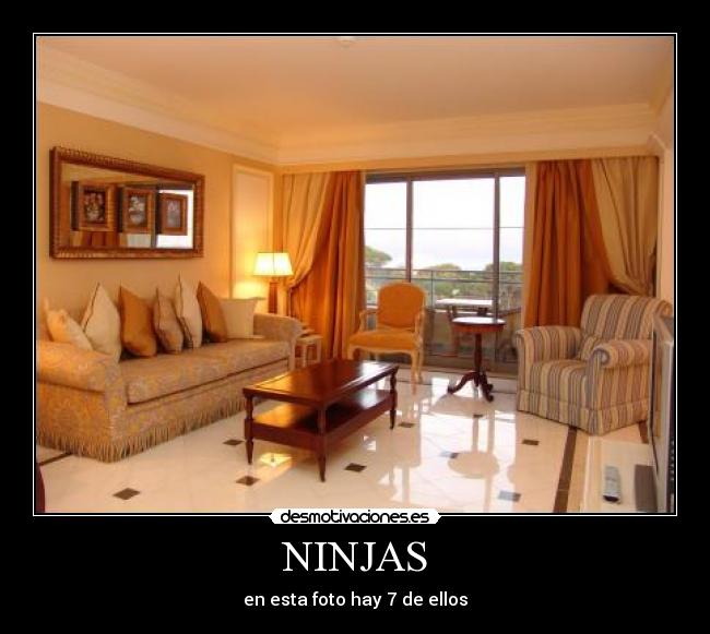 NINJAS - en esta foto hay 7 de ellos
