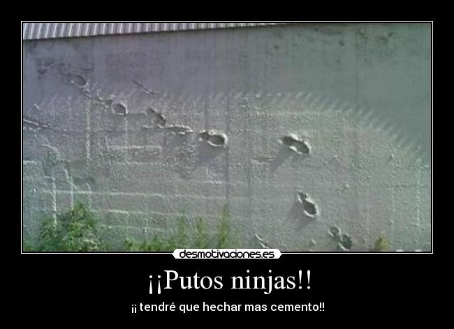 ¡¡Putos ninjas!! -