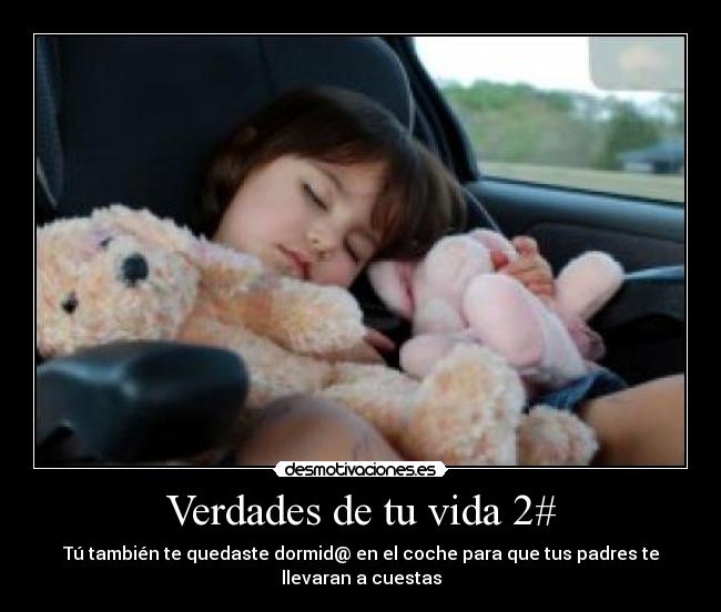 carteles vida vedades vida coche dormir desmotivaciones