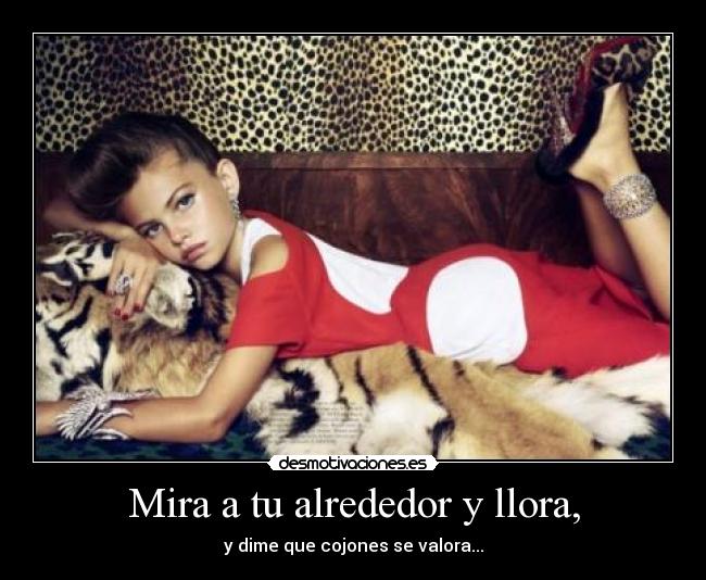 Mira a tu alrededor y llora, - 