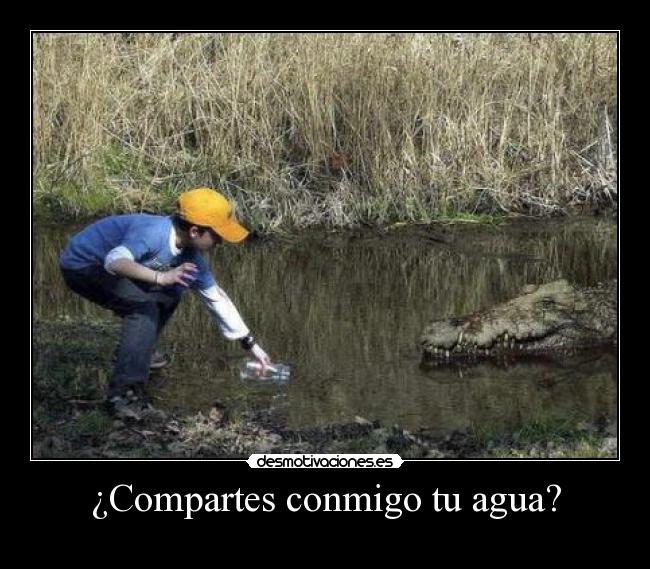 ¿Compartes conmigo tu agua? -