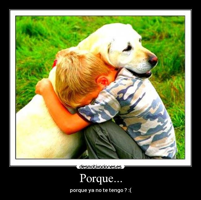 Porque... - 