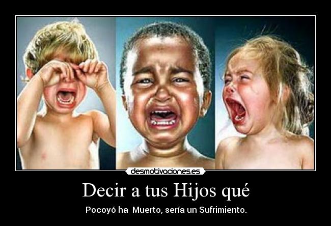 carteles bebes desmotivaciones