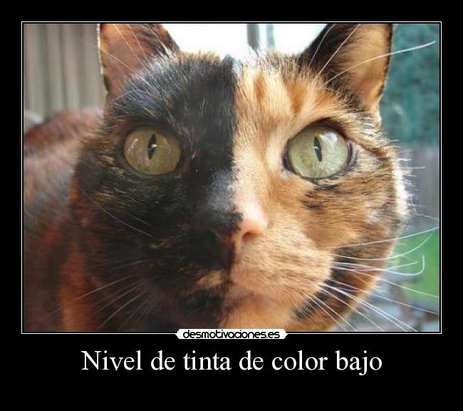 Nivel de tinta de color bajo - 