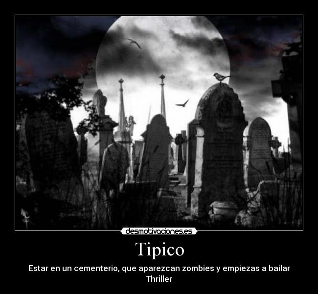carteles cementerio desmotivaciones