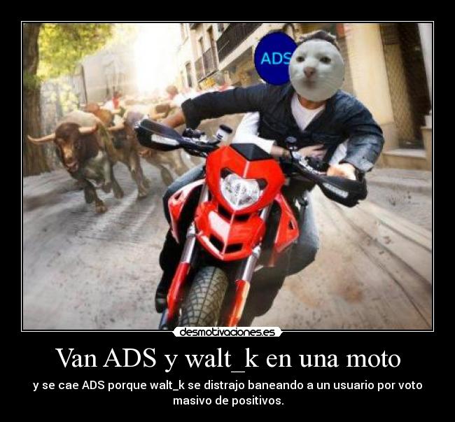 Van ADS y walt_k en una moto - y se cae ADS porque walt_k se distrajo baneando a un usuario por voto
masivo de positivos.