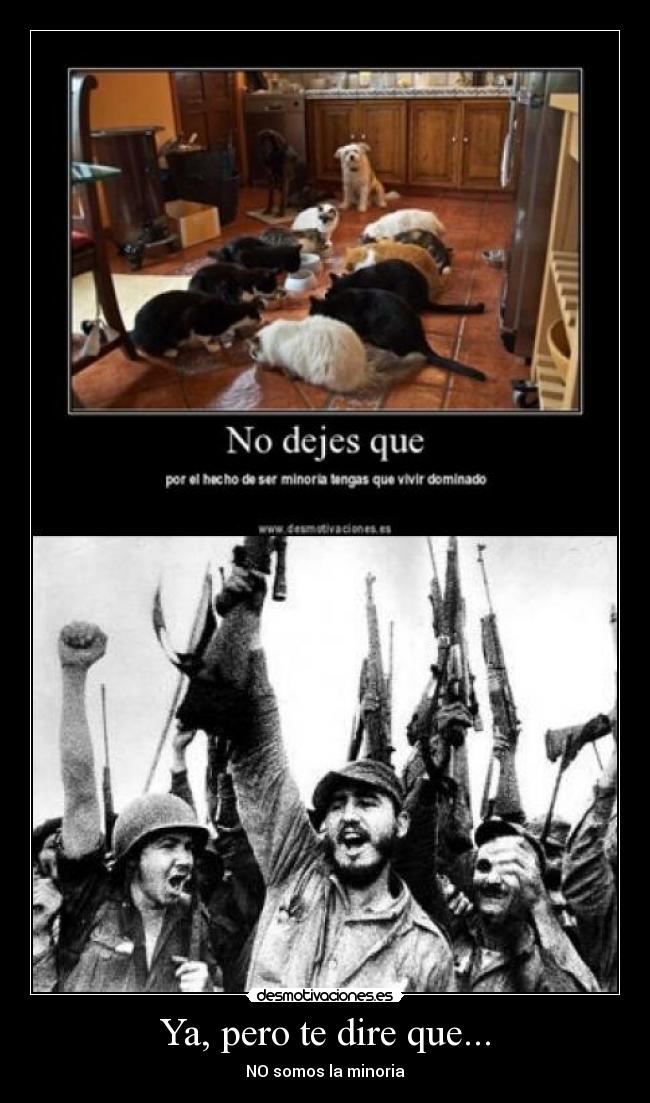 Ya, pero te dire que... - NO somos la minoria