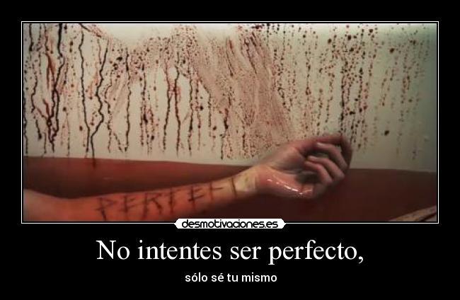 carteles intentes ser perfecto solo se mismo desmotivaciones