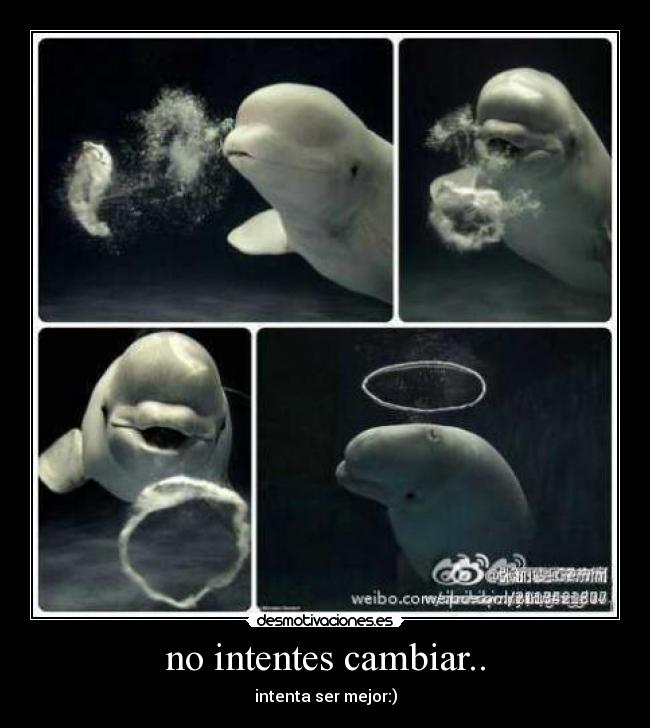 carteles behappy desmotivaciones