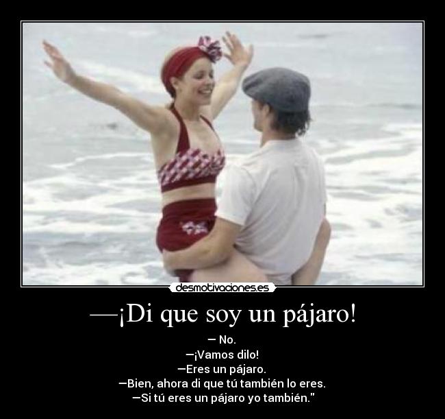 —¡Di que soy un pájaro! -