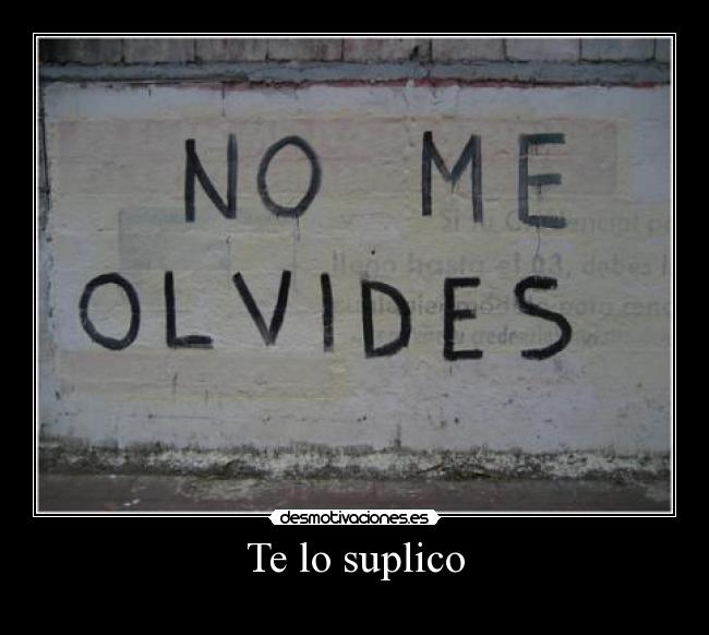 Te lo suplico -