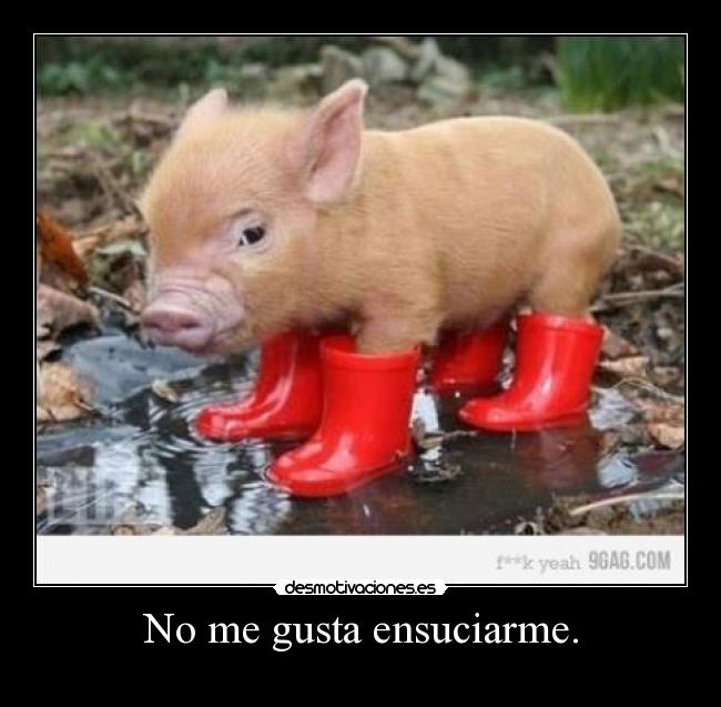 No me gusta ensuciarme. -