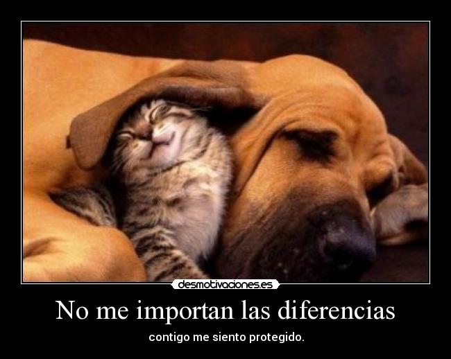 No me importan las diferencias - 