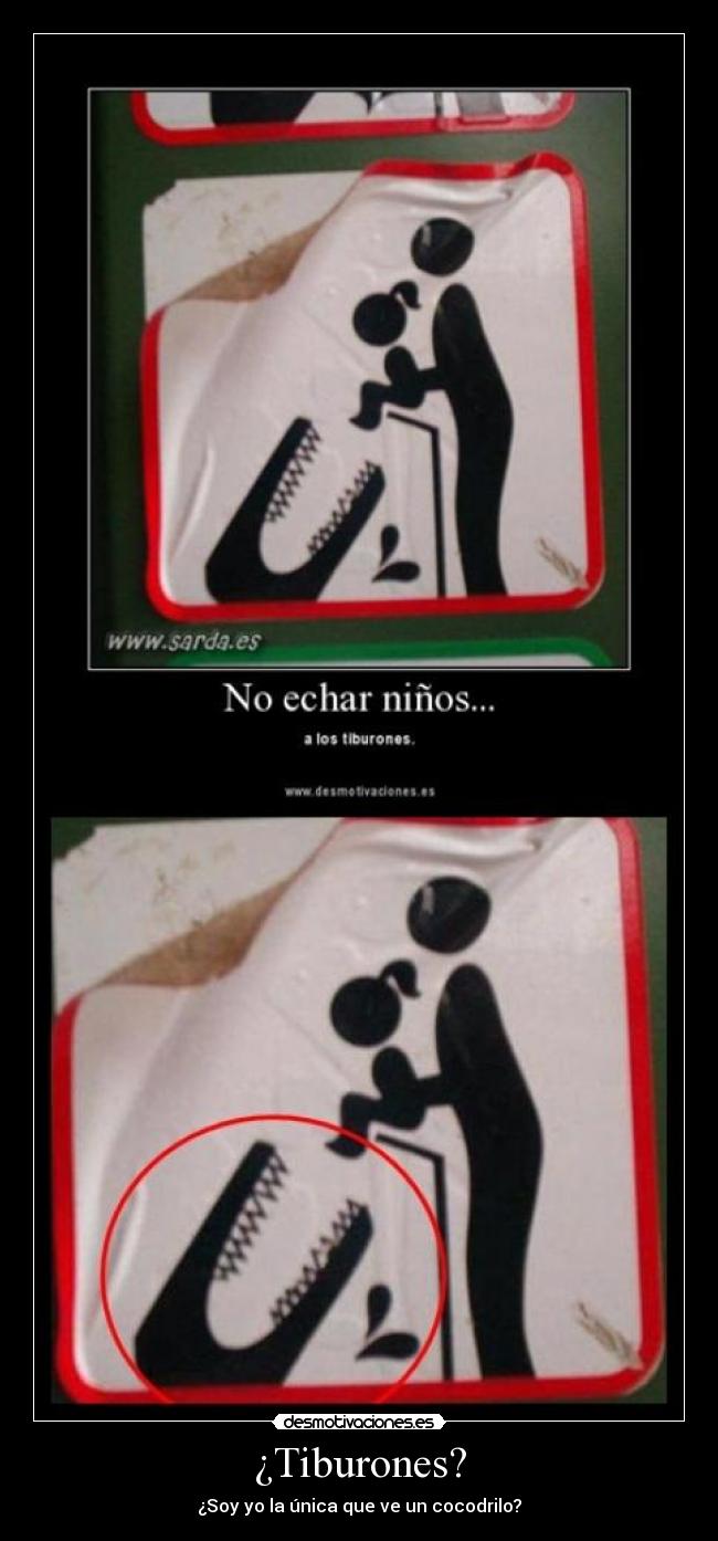 ¿Tiburones? - 