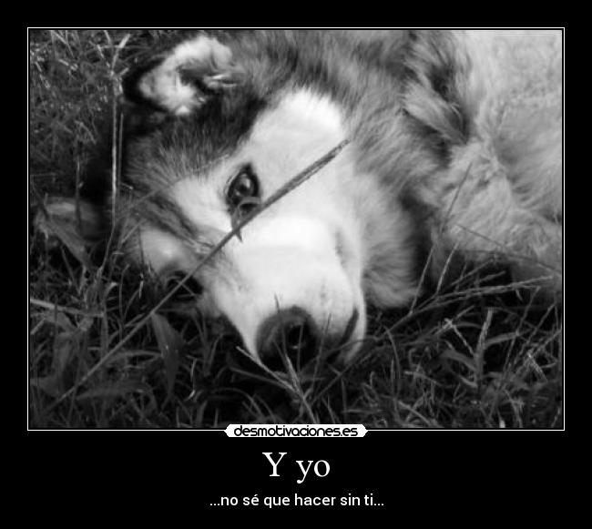 carteles dreadk fiel estilo subiendo carteles blanco negro extranandola pesar todo desmotivaciones