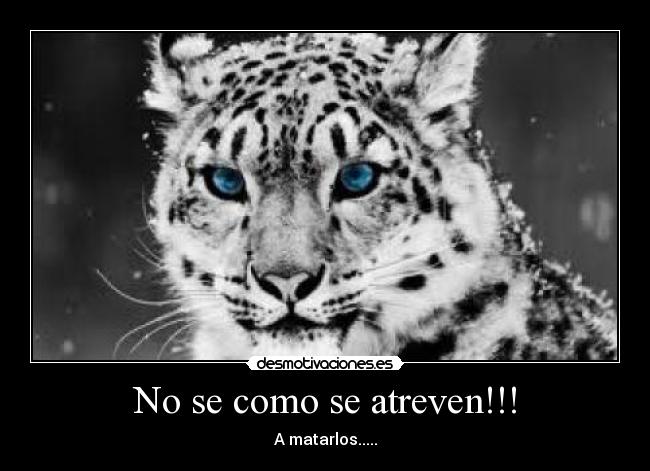 No se como se atreven!!! -