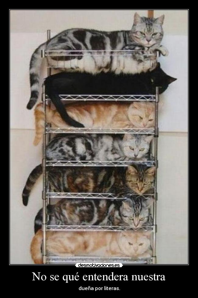 No se qué entendera nuestra - dueña por literas.
