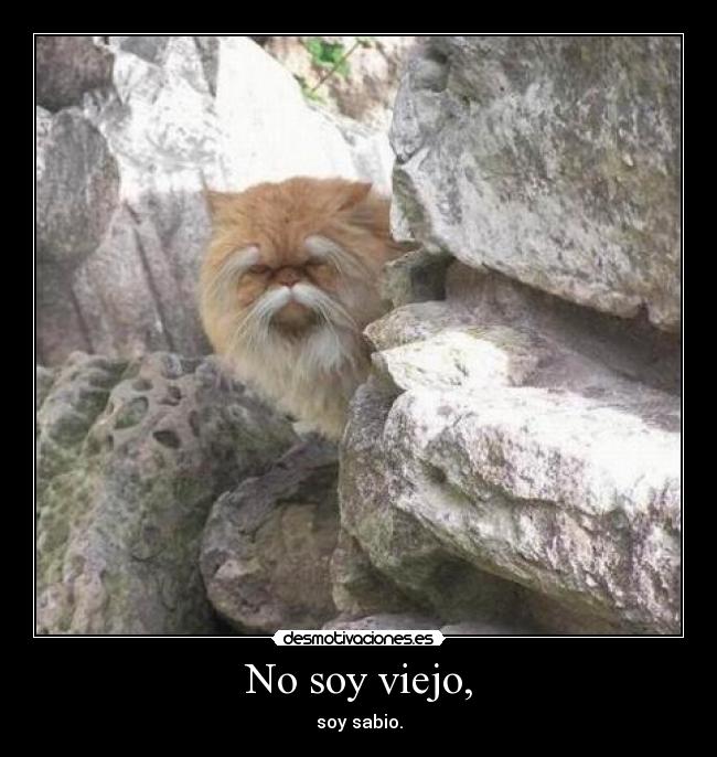 No soy viejo, -
