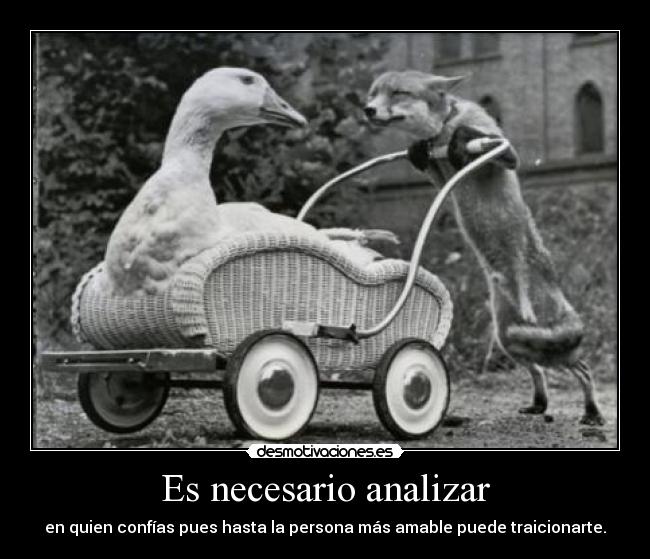 carteles hay mucho hipocrita suelto cuidado crudarealidad con seven elclanviral bollicao desmotivaciones