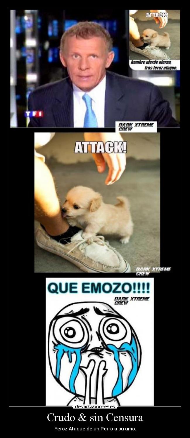 Crudo & sin Censura - Feroz Ataque de un Perro a su amo.