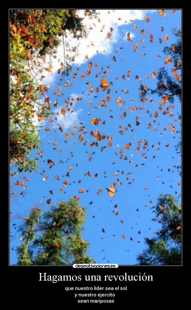 Hagamos una revolución - 