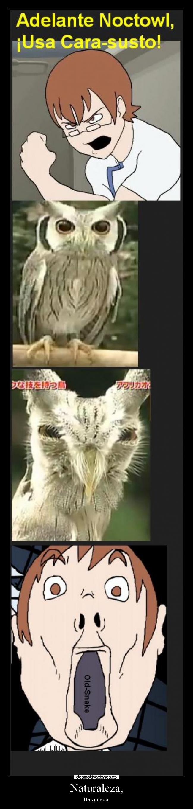 Naturaleza, - Das miedo.