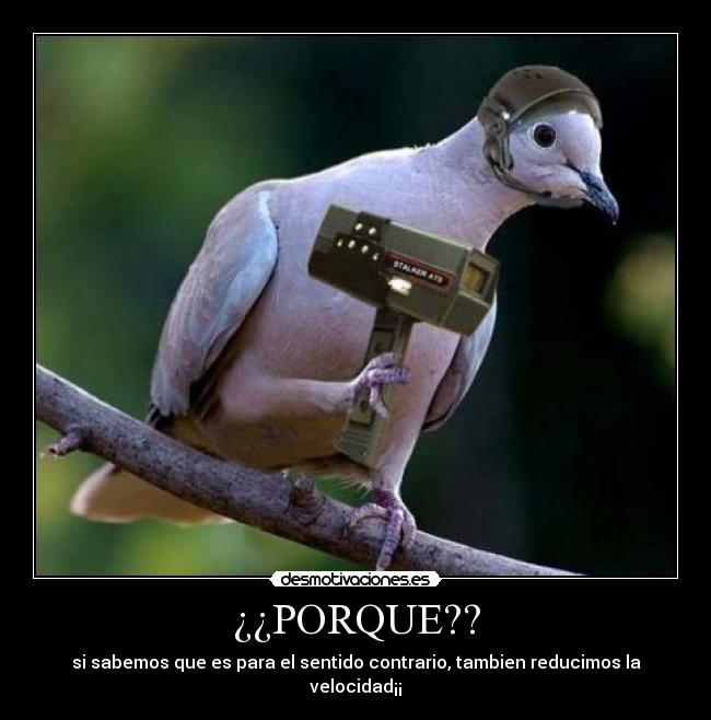 ¿¿PORQUE?? -