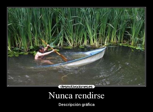 Nunca rendirse - Descripción gráfica