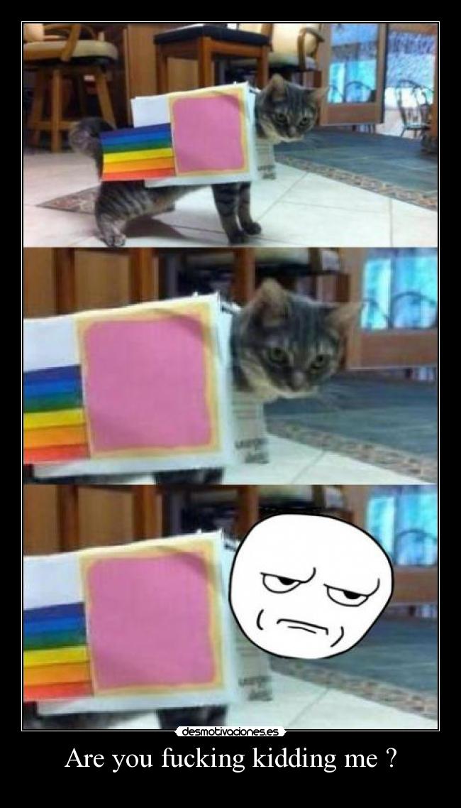 Are you fucking kidding me ? -