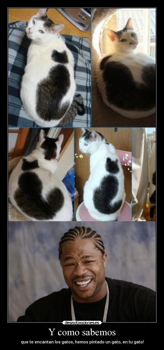 Y como sabemos - que te encantan los gatos, hemos pintado un gato, en tu gato!