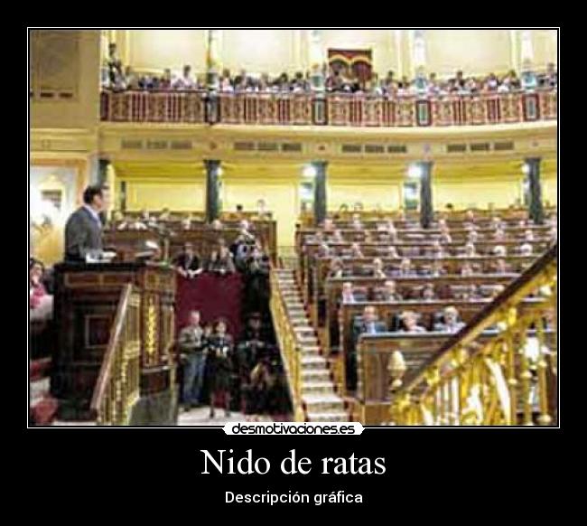 Nido de ratas -