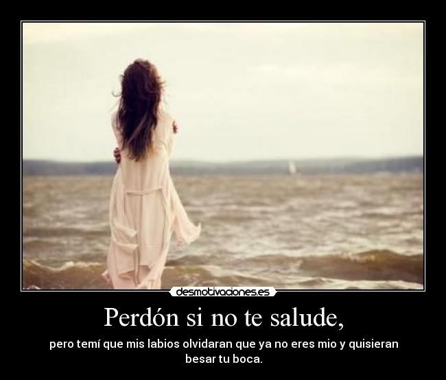 carteles perdon saludar beso desmotivaciones