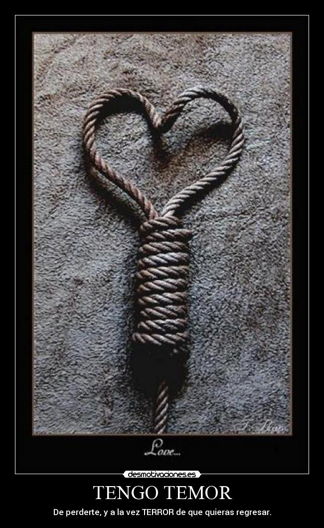 carteles dilema desmotivaciones