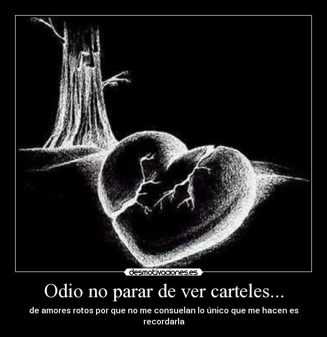 Odio no parar de ver carteles... -