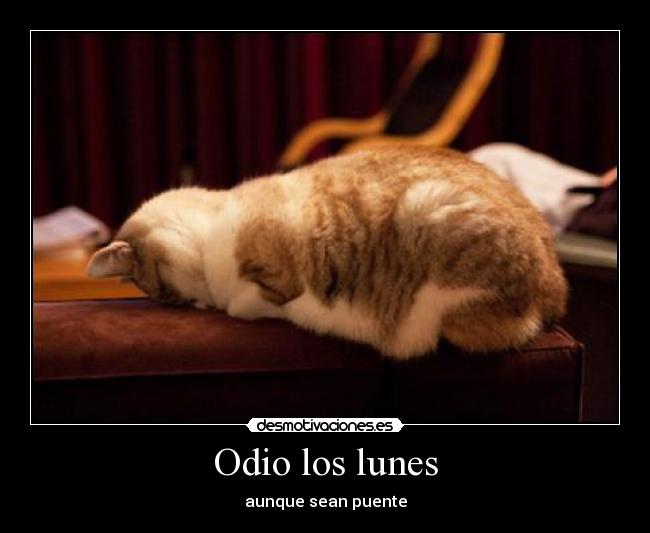 Odio los lunes -