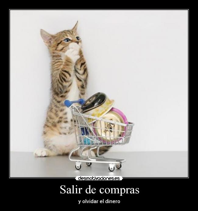 Salir de compras - y olvidar el dinero
