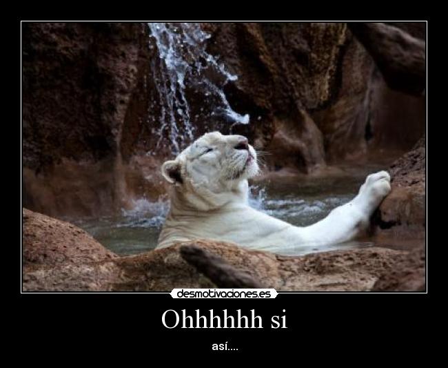 Ohhhhhh si - así....