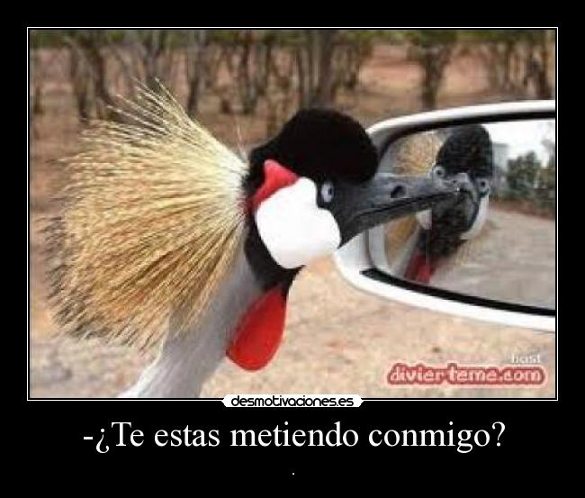 carteles metes conmigo desmotivaciones