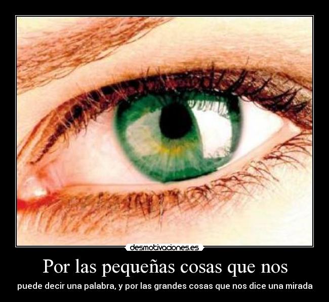 Por las pequeñas cosas que nos - puede decir una palabra, y por las grandes cosas que nos dice una mirada