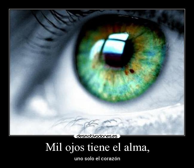 carteles alma sheey8 dedico primer cartel como naranja desmotivaciones