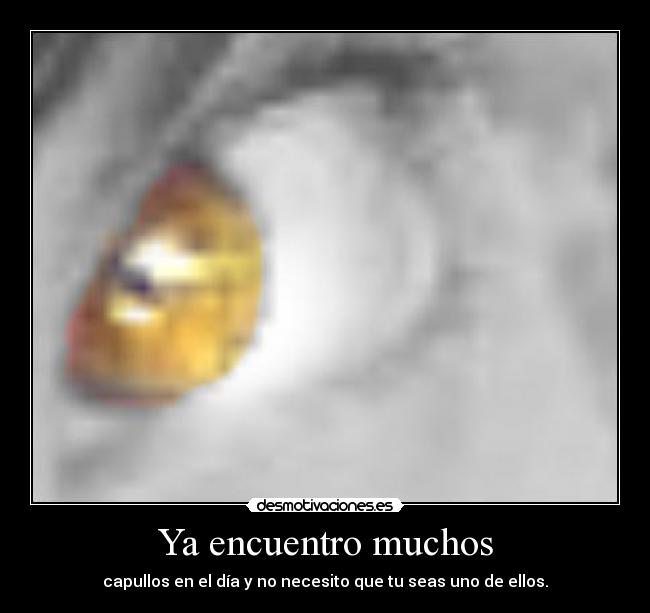 Ya encuentro muchos - capullos en el día y no necesito que tu seas uno de ellos.