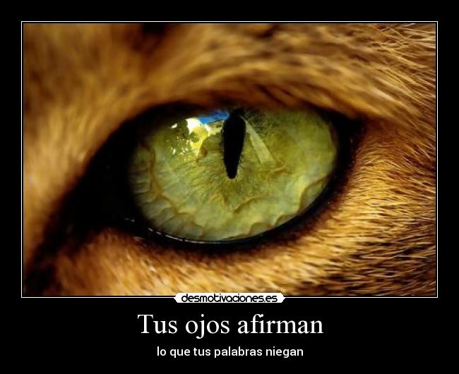 Tus ojos afirman - lo que tus palabras niegan