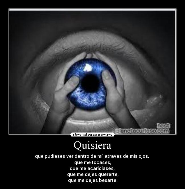 Quisiera - que pudieses ver dentro de mí, atraves de mis ojos, 
que me tocases,
que me acariciases, 
que me dejes quererte,
que me dejes besarte.