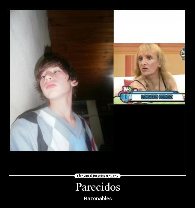 carteles cruzas entre especies desmotivaciones