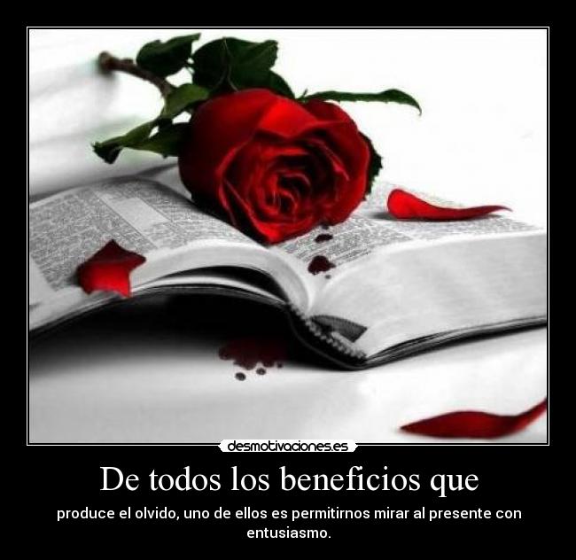 De todos los beneficios que - produce el olvido, uno de ellos es permitirnos mirar al presente con entusiasmo.