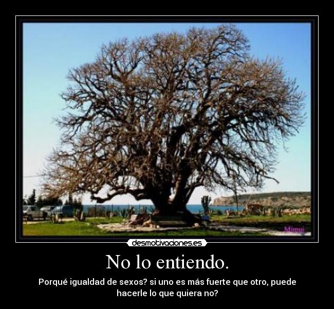 No lo entiendo. - Porqué igualdad de sexos? si uno es más fuerte que otro, puede
hacerle lo que quiera no?
