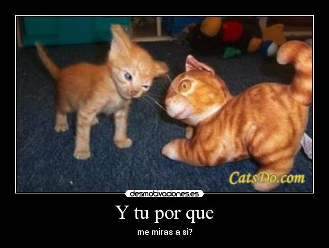 Y tu por que - me miras a si?