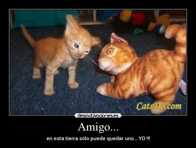 Amigo... - 